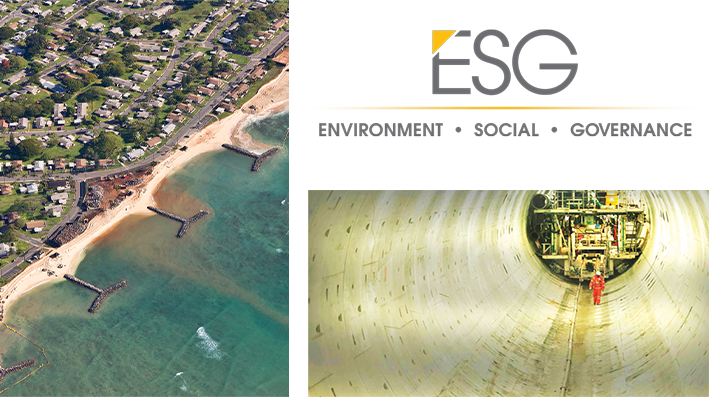 ESG Initiative 2020