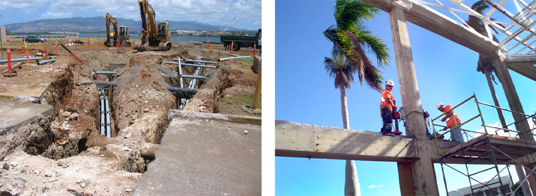 Growth in Hawaii 2002